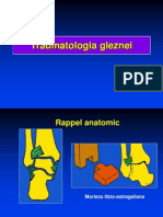 03 - Fracturile Gleznei