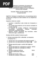 Download Taller Ilustrativo - Tallo Cerebral by competencias SN21150231 doc pdf