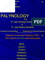 Palynology 2