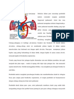 Sirkulasi Pulmonal