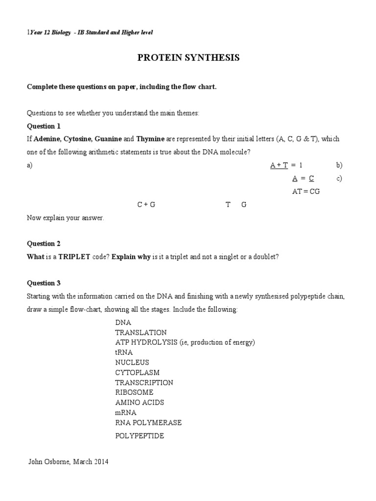 Protein Synthesis Questions and Flowchart | PDF | Teaching Methods ...