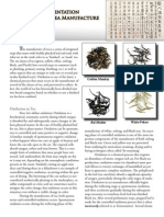 Oxidation Fermentation in Tea Manufacture Single Page Layout