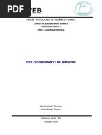 Ciclo Combinado de Rankine - Bruno M. Santos