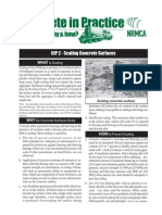 CIP 2 - Scaling Concrete Surfaces