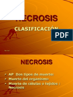 Necrosisss 100717105606 Phpapp01
