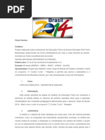 O Projeto Copa Karin