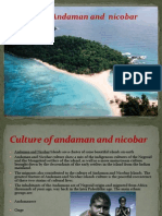 Andaman and Nicobar