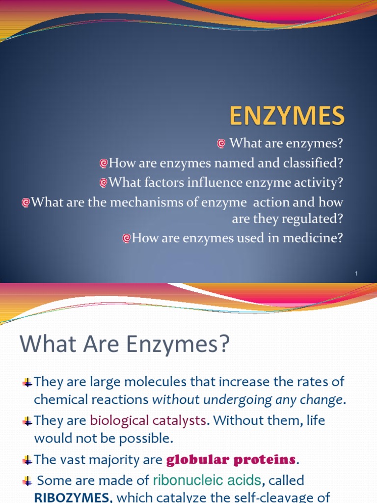 Enzymes Cofactor (Biochemistry) Enzyme