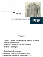 Thorax Blok 224