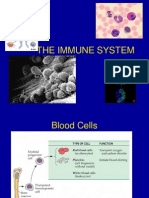 The Immune System- FORM 6
