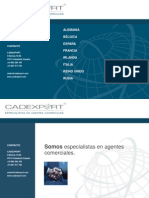 PowerPoint presentación CADEXPORT 2014