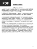 Reingeniería en Los Servicios de Salud