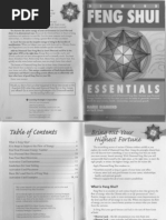 Download Diamond Feng Shui Essentials by Eugeniomacriartigian SN211659851 doc pdf