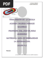 Ensayo Ejercicio 3 TERMINADO Subir