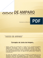 Materia Amparo 2013