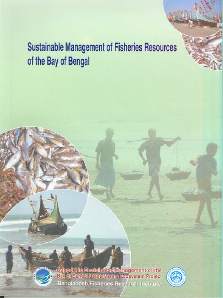 Sustainable Fisheries Management in The Bay of Bengal PDF Fishing
