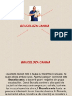 Bruceloza 2