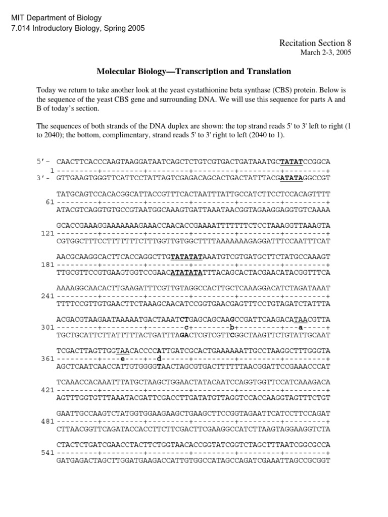 Molecular Biology-Transcription and Translation: Recitation Section 8 ...