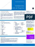 Fundamentos Gestion Proyectos