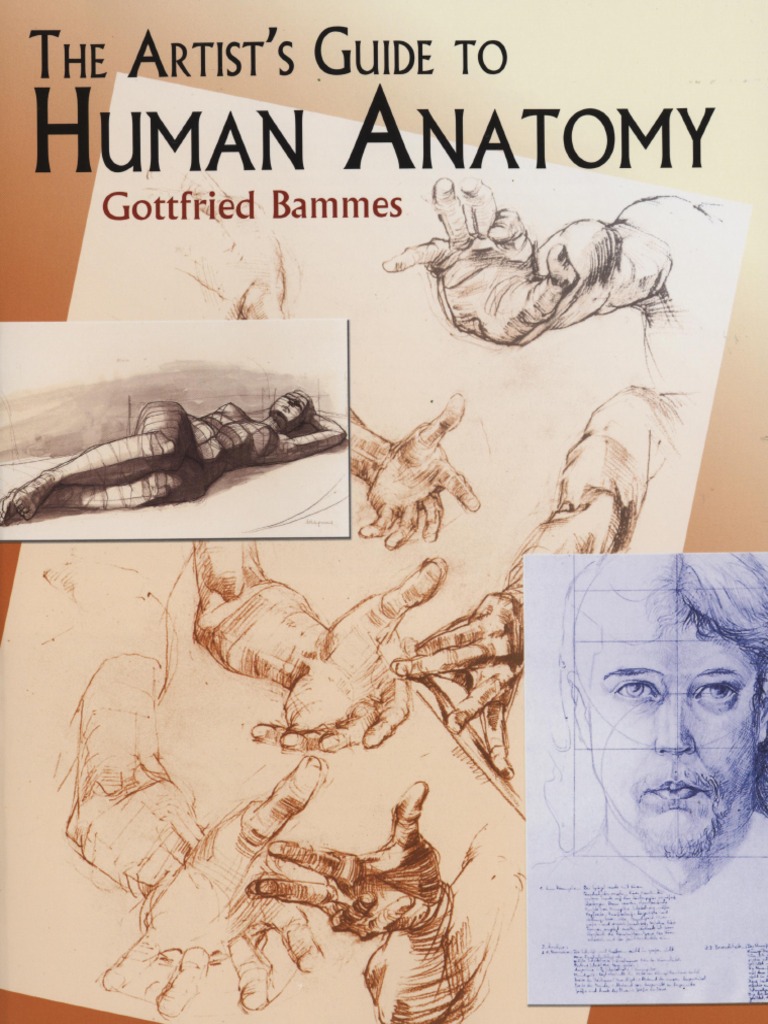 The Artist's Guide To Human Anatomy | PDF