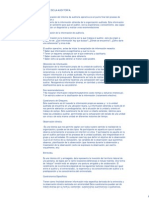 Auditoria - Como Redactar Un Informe de Auditoria PDF