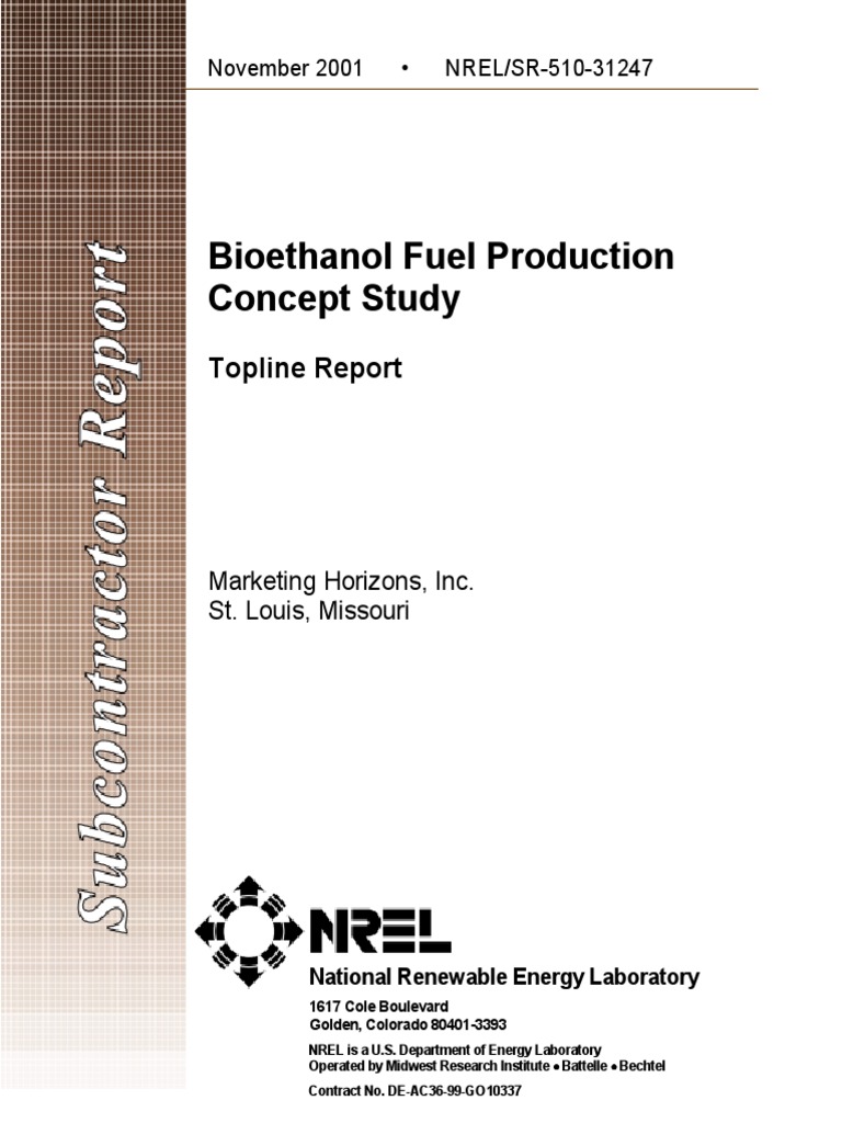 Bioethanol Production Insights Report | PDF | Ethanol Fuel | Maize