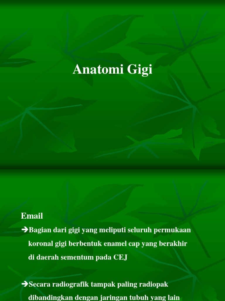 Anatomi Fisiologi Gigi Pdf