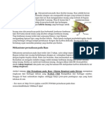 Download RESPIRASI -Alat Pernafasan Pada Ikan by Asriani_aras SN211798284 doc pdf