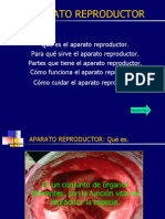 APARATO REPRODUCTOR.pps