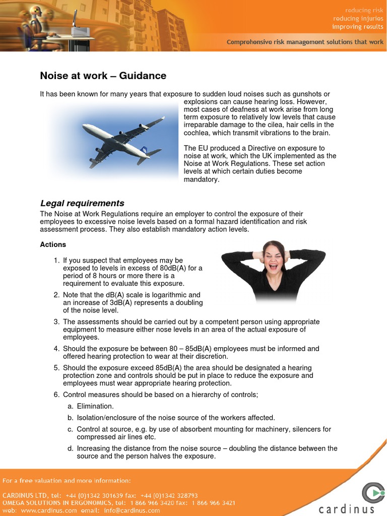 Noise at Work Guidance | PDF