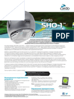 DTS09021 SHO1 DATASHEET ru 001 w.pdf