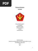 Download ENZIM by Annisa Setyaningrum SN211825818 doc pdf