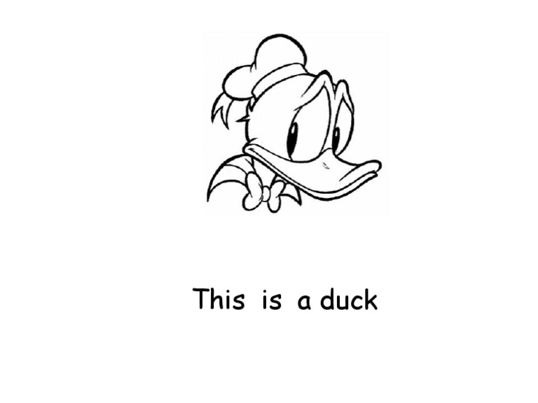 Duck | PDF