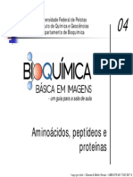 Aula Bioquimica - Aminoácidos