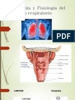 Anatomía y Fisiologia Del Aparato Respiratorio