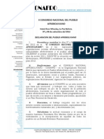 Declaracion Internacional Conafro PDF