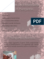 cenf-puerperio1-091022233114-phpapp01