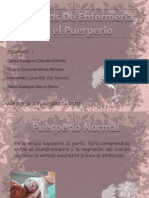 Cenf Puerperio1 091022233114 Phpapp01