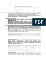 Derecho Procesal Laboral Unidad II