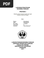 Download Lap Protein by Mala Strife Fair SN211889327 doc pdf