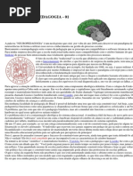 O QUE É NEUROPEDAGOGIA