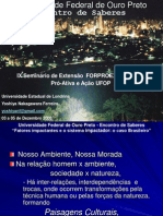 Fatores Impactantes e o Sistema Impactador o Caso Brasileiro PDF