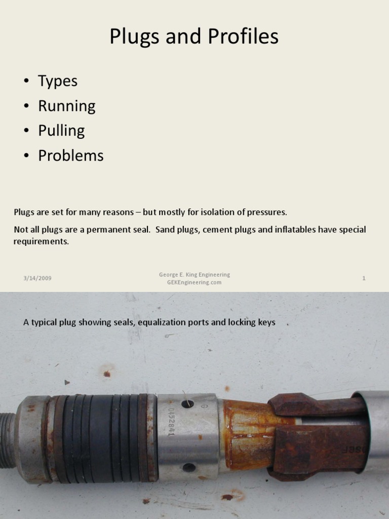 Types and Uses of Downhole Plugs and Profiles | PDF