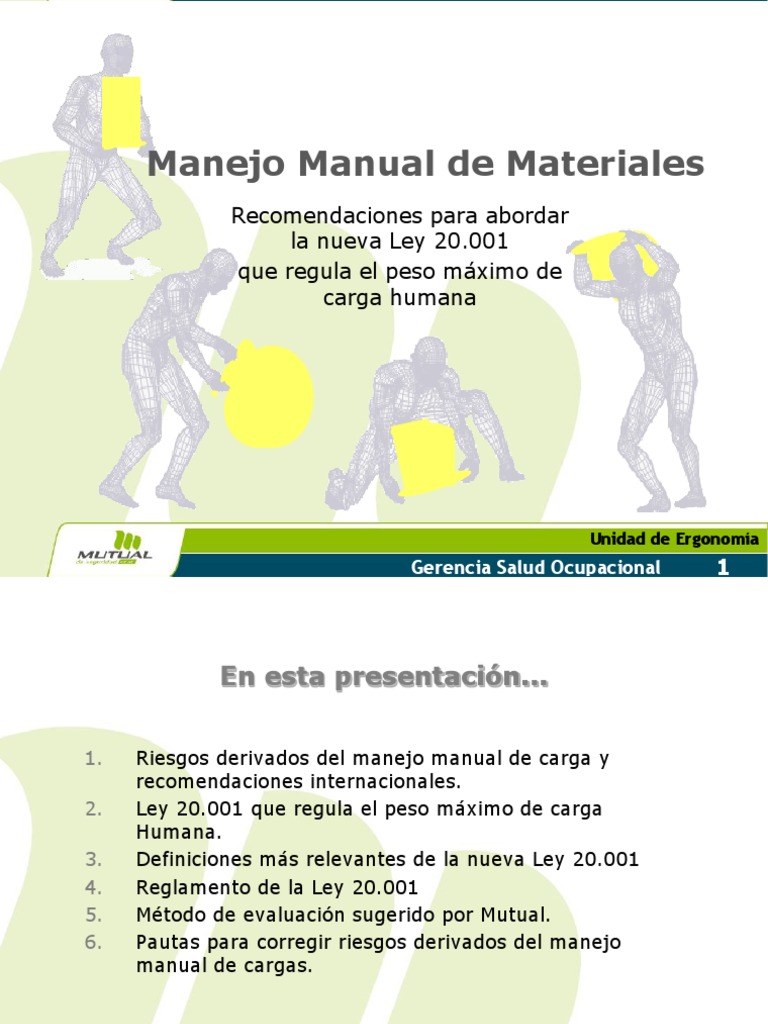 Ley 20.001: Manejo Seguro de Cargas | PDF | Factores humanos y ...