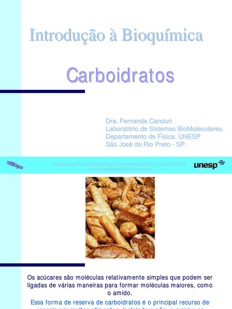 Defina Carboidratos E Cite Suas Principais Funções