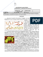 Guia IV Medio Biologia Bacterias y Virus Revisada