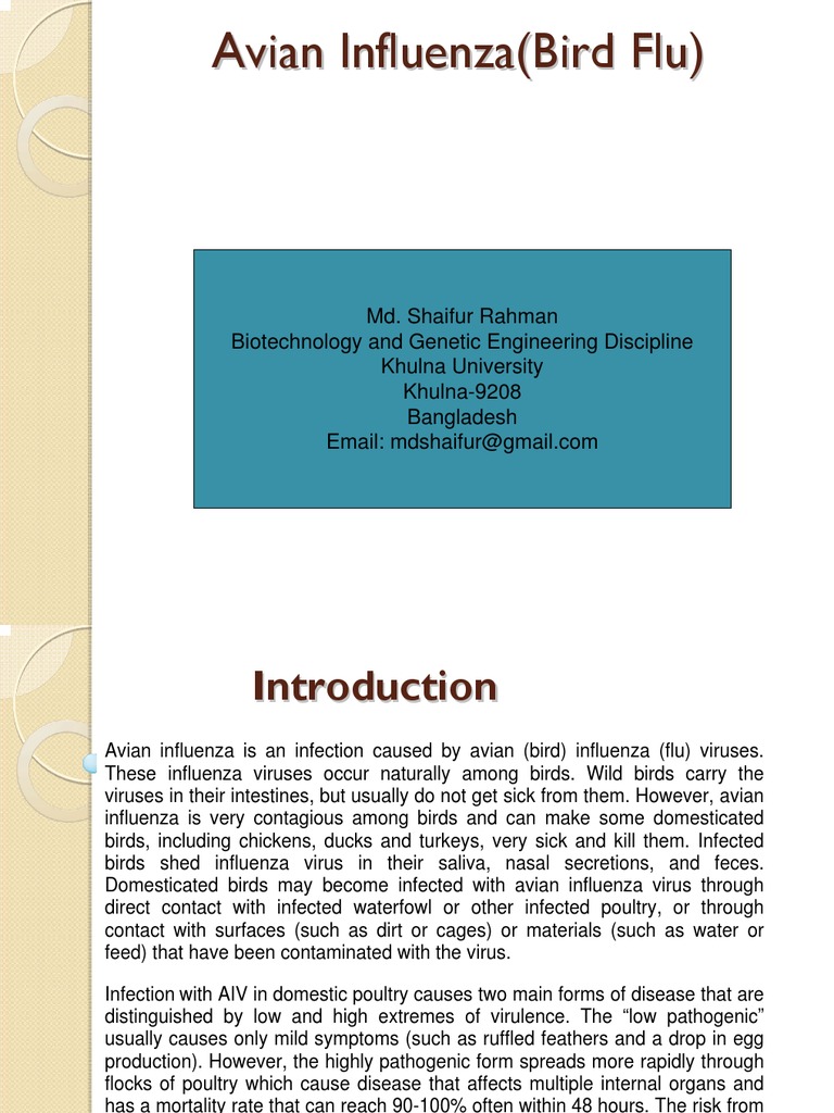 Avian Influenza (Bird Flu) | PDF | Influenza A Virus Subtype H5 N1 ...