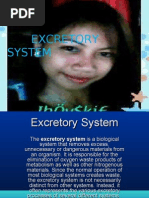 Excretory System Presentation 2