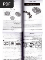 Download 4- by api-249742058 SN212020081 doc pdf