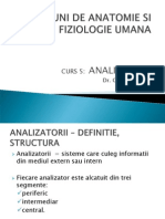 Analizatorii - Cutanat Olfactiv Vizual